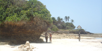Felsvorsprung Diani Beach